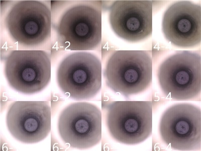 模壓坨檢測(cè)